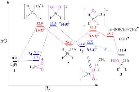 Example of a Catalytic Cycle we investigate